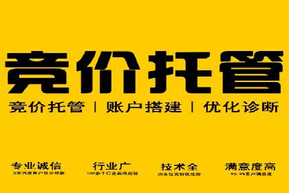 SEM代运营托管公司案例深度解读